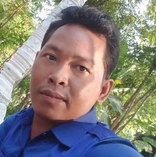 ជំនួយការវិបុល